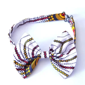 Noeud Papillon Éthnique aux motifs vibrants