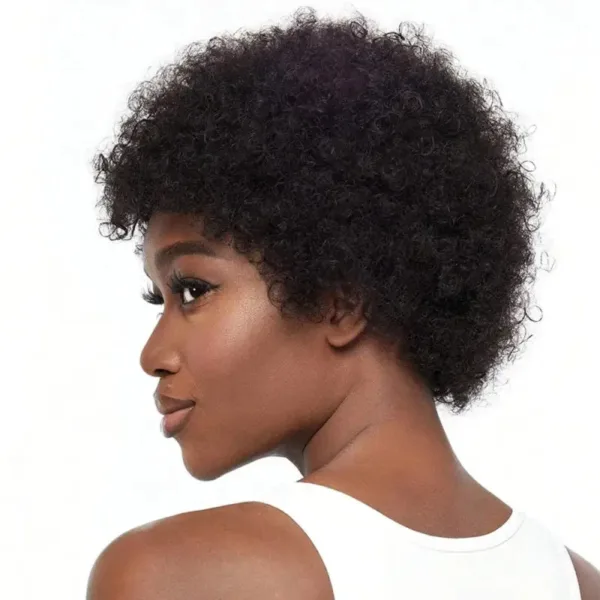 Perruque crépue afro, style décontracté et moderne