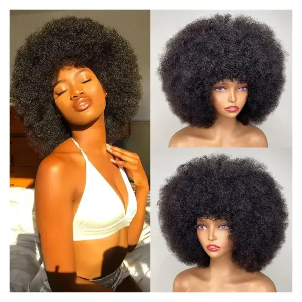 Perruque Afro ample pour un look extravagant