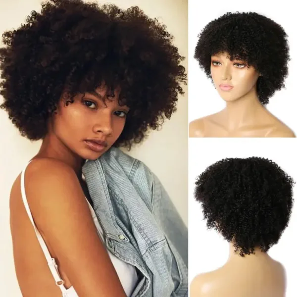 Perruque afro, look chic pour femmes modernes
