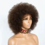 Perruque Afro Femme
