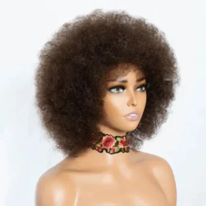 Perruque Afro Femme