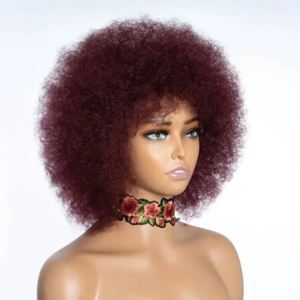 Coiffure Afro naturelle pour un look tendance