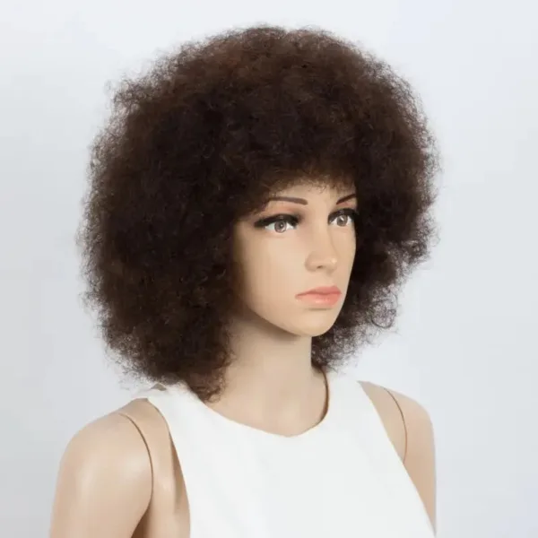Perruque bouclée Afro idéale pour un usage quotidien