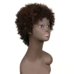 Perruque afro courte, élégante et facile à coiffer