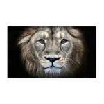 Tableau Animaux Afrique - vue 3