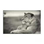 Tableau Animaux Afrique - vue 4