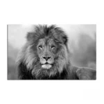 Tableau Animaux Afrique - vue 5