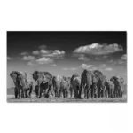 Illustration déco africaine en nuances de gris
