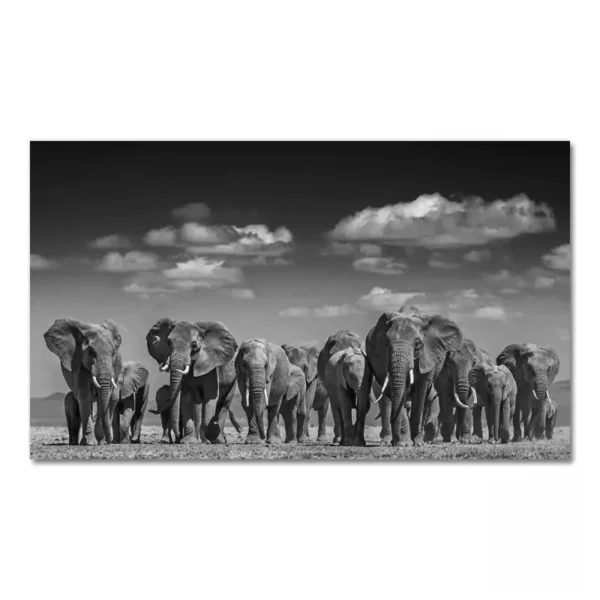 Illustration déco africaine en nuances de gris
