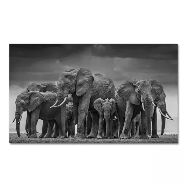 Art savane minimaliste pour intérieur moderne